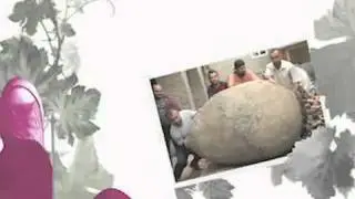 That Crazy French Woman in Georgia - Trailer - © Travel Channel 2011