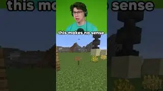 Minecraft Makes No Sense…😂 #reaction