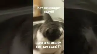 Зачем? #memes #shorts