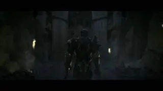 Dragon Age: Origins Wardens Call