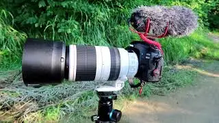 Canon EF 100-400mm f/4.5-5.6L IS II USM