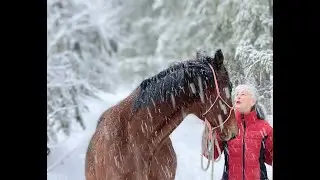 For The Horse Season's Greetings