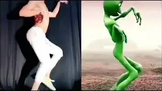 Funny video