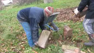 09