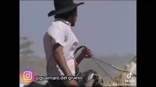 la belleza del llano💛