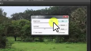 Photoshop CS6 :How to change image brightness - Fast Tutorial