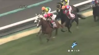 2012年  阪神大賞典 オルフェーヴル激走