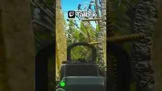 Always bring more ammo 