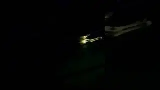 На дороге сбили лося. Трасса Кострома-Ярославль.