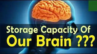 Human brain memory capacity