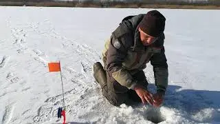 Профессионал на рыбалке. ЖЕРЛИЦЫ НА ЩУКУ.