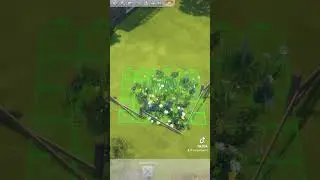 Building a Wizard Tower 