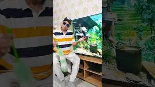 जीने के लिए एक वज़ह ही काफ़ी है 🥴🤣 #funny #comedy #mostlyrajnideepak