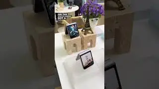 FIRST LOOK at the new Samsung Galaxy Z Flip 6!!!! 🥹 #samsung #samsungunpacked #galaxyzfold