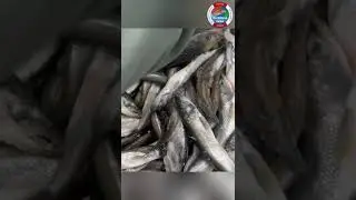 Самая вкусная рыбка!
