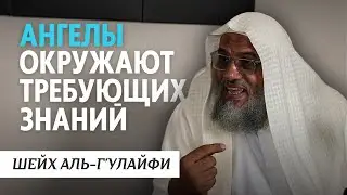 Ангелы окружают требующих знаний | Шейх Г'улайфи