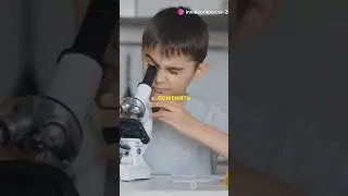 От микроба до голлактики #гаджеты #лайфхаки #микромир