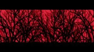 Lady Gaga - The Raven Film & Monster (Backdrop) The Monster Ball 1.0