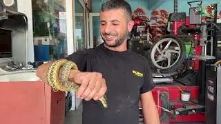 Tamirci çırağı Sarı Yılan 🤭🐍