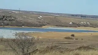 Рыбаки на пруду