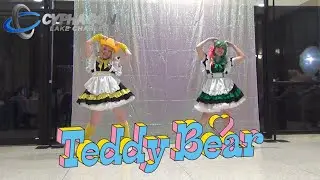 【Maid Cafe】STAYC(스테이씨) 'Teddy Bear'【Dance Cover】