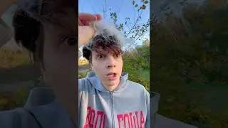 Квадроберов запретили | тгк: Рэйн
