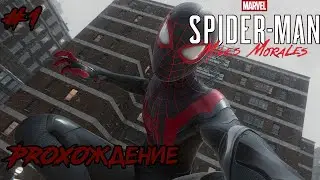 🎮100%🎮Прохождение Spider-Man: Miles Morales ➤ Часть 1 на Русском  | PC