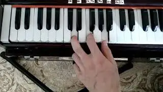 Мелодия на физгармонии. Киртан 28