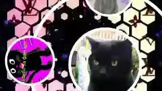 Ура у меня видео!
