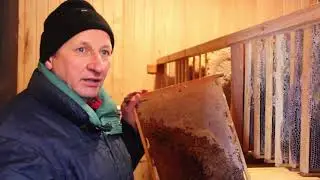 How to store sushi | Winter storage of bee frames