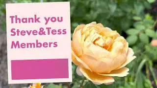 Members Shoutout / Thank You Members