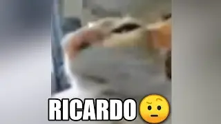 MEMES MUY XD #159