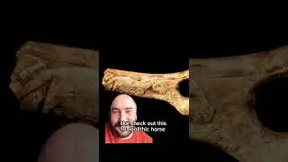 A true paleolithic puzzle