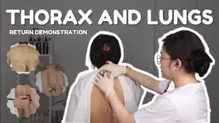 THORAX AND LUNGS ASSESSMENT l RETURN DEMONSTRATION (student nurse)