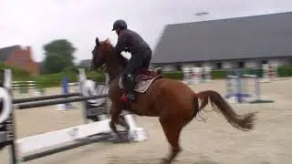 training kasari stables
