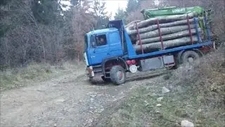 MAN 4x4 Holztransporter