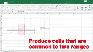 How to use formulas to produce cells that are common to two ranges in Excel