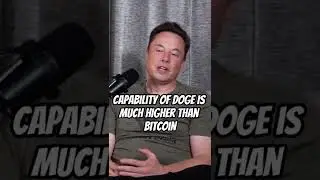 Elon Musk on The Cryptocurrency Bear Market Crash