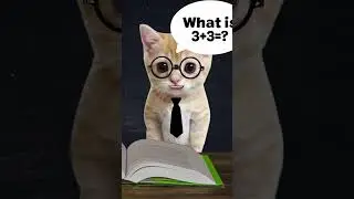HELP Banana Cat to Solve 3+3 😭