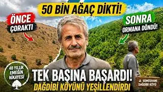 A retired imam in Gümüşhane planted 50,000 trees in his village with his own resources.