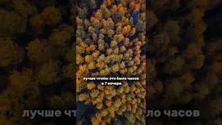 8 декабря 2023 г.