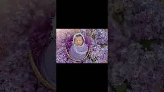 Inteligência artificial na fotografia 