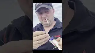 Вот это рыбища. Чуть с лодки не утащила 
