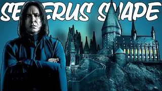 SEVERUS SNAPE in HARRY POTTER Games - All Professor Snape Scenes (PC)