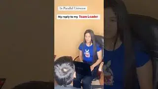 My reply to my team leader in the parallel universe