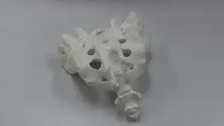 The Sacrum