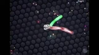 I'm the biggest slither but it was bad end | Slither.io