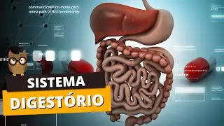 Como explicar o SISTEMA DIGESTÓRIO?