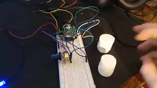 sample playback