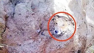 Ее закопали заживо... Но она выжила...